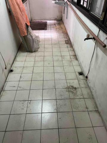 鍾小姐 - 整理前