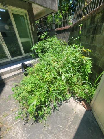 于森園藝企業社 （林先生） - 施工前