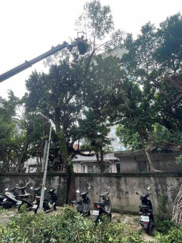 提供除草服務的專家錢進工程