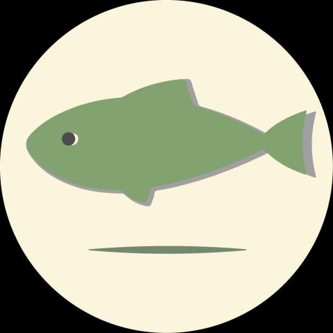 提供CSS修改服務的專家FISH