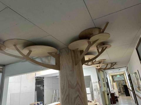 兆鈞室內裝修 - 大學裡面的造型樹。很療癒。 兆鈞室內裝修 - 大學裡面的造型樹。很療癒。