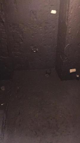 小景 - 浴室翻修剔除原磁磚後做防水