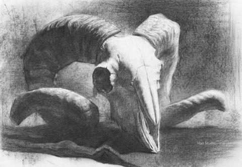 Han studio  邱柏翰 - 羊骨炭筆素描示範，炭筆鋪顏色快上很多，過程須注意亮面白塊變化，畫面中主要焦點區