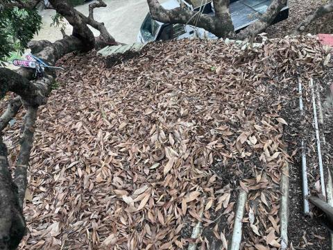 文彩油漆工程行 - 鐵皮防水隔熱施工前