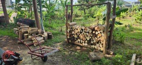 你為什麼不問問神奇海螺呢 - 木頭鋸好疊放區