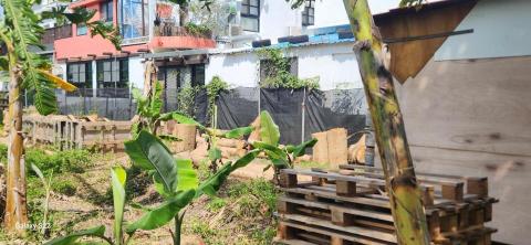 你為什麼不問問神奇海螺呢 - 施工前