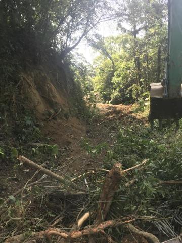 翊竣工程行 - 除草開路
樹木廢棄運輸
