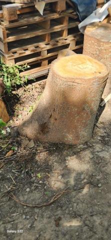 你為什麼不問問神奇海螺呢 - 施工前