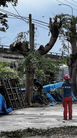 高空修樹（空降神兵） - 樹木伐除修剪