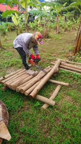 你為什麼不問問神奇海螺呢 - 園藝鋸木