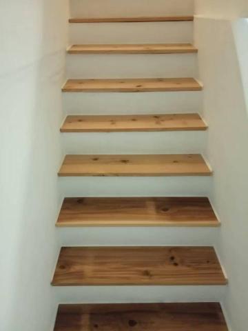 你為什麼不問問神奇海螺呢 - 整棟翻新設計