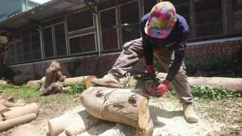 你為什麼不問問神奇海螺呢 - 園藝鋸木