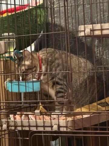 宜蘭大學電機系 - 