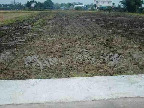 翊竣工程行 - 農地怪手除草整平