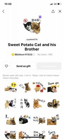 許雅涵 - 寵物貼圖