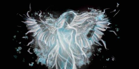 林子瑄 -  林子瑄 -