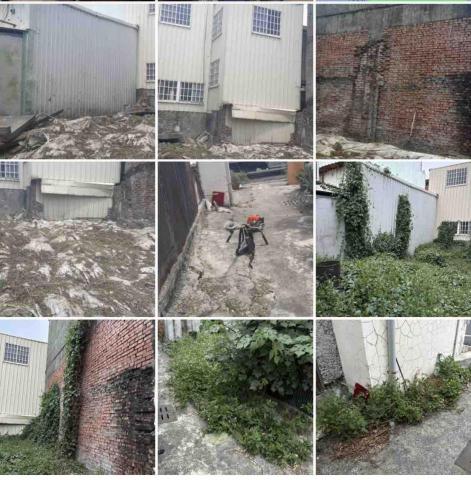 淇淇幫工作室 居家清潔 除草鋸樹(王品之) -  淇淇幫工作室 居家清潔 除草鋸樹(王品之) -