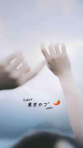 提供印章盒子服務的專家東京カブ映畫