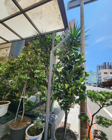 小宇 - 排水管完工