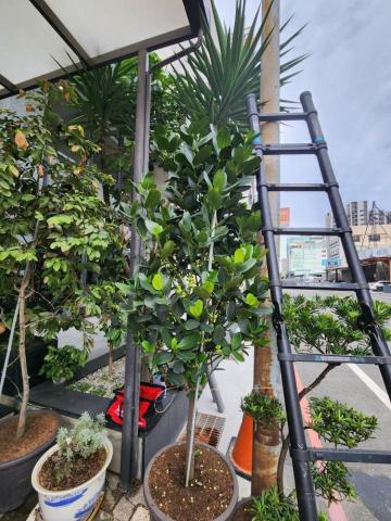 小宇 - 排水管施工前