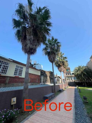 匠人樹木工作室 - 