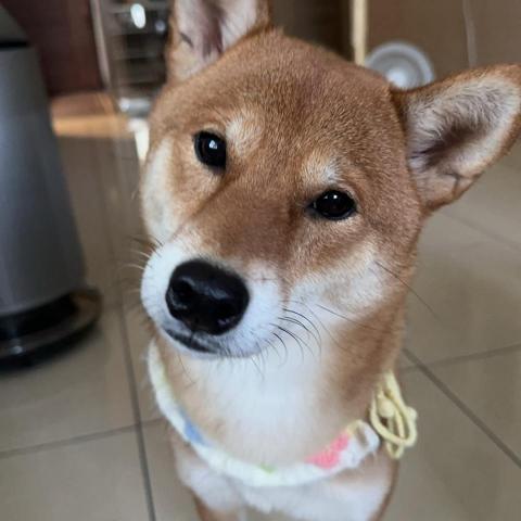 提供住宿服務的專家佳萱