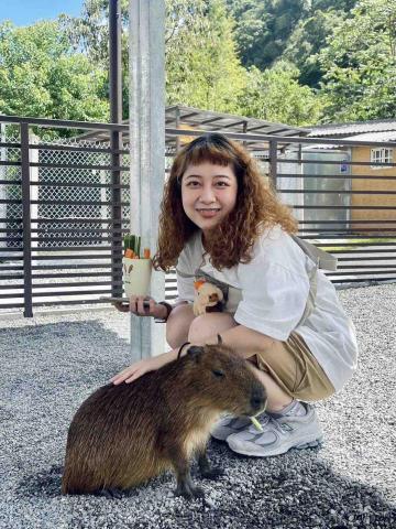 提供3dh動服務的專家Orli