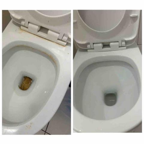 台中淨居夫妻 - 馬桶煥白術