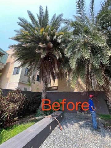 匠人樹木工作室 - 