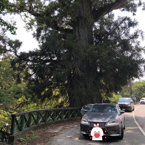 提供包車旅遊司機服務的專家Eda Lee