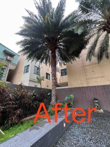 匠人樹木工作室 - 