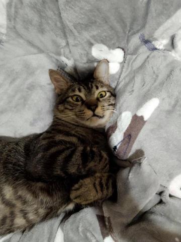 提供吳曉琪服務的專家吳曉妮