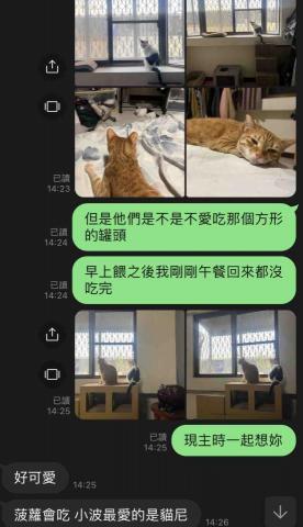 Joann - 個案出國時的到府照顧