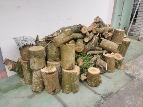 于森園藝企業社 （林先生） - 