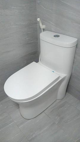 振馨水電工作室 - ；單體馬桶虹吸式