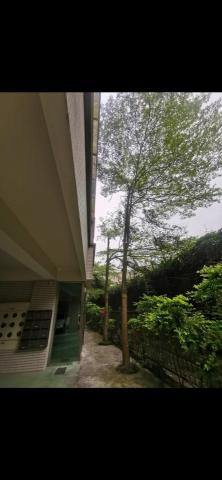 于森園藝企業社 （林先生） - 施工前