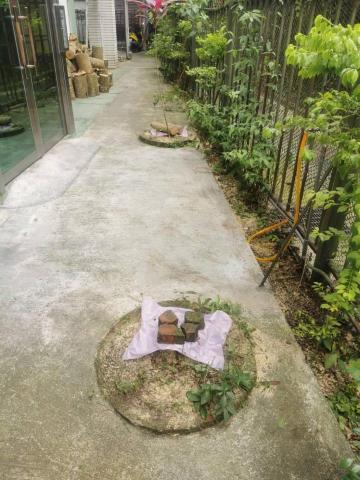 于森園藝企業社 （林先生） - 施工後