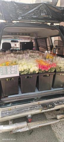 戴國浩 - 鮮花外送
