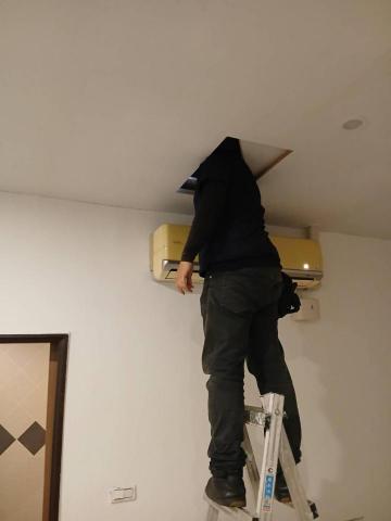 晶鑫生物科技防治有限公司 - 虎頭蜂場刊2