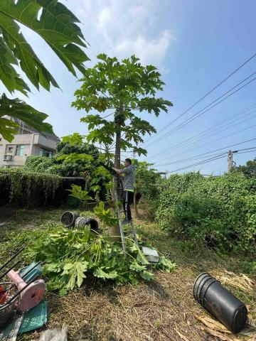小林 - 整地除草！