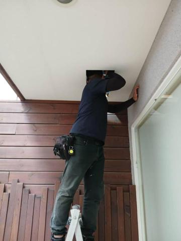 晶鑫生物科技防治有限公司 - 虎頭蜂場刊1