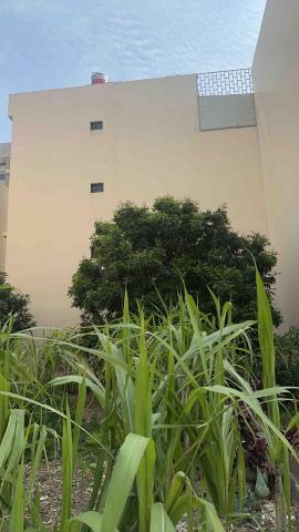 墨翰外牆防水工程 - 未施工