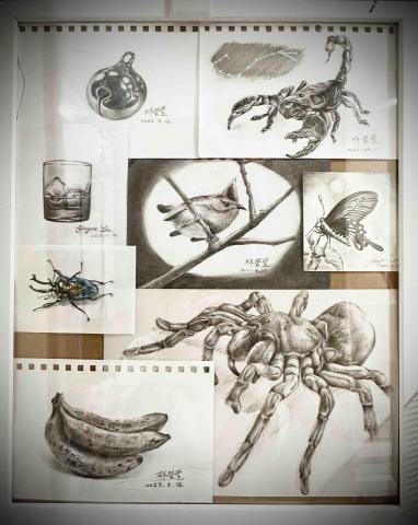 林螢萱個人工作室 - 素描