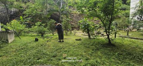 揚子園藝工程行 -  揚子園藝工程行 -