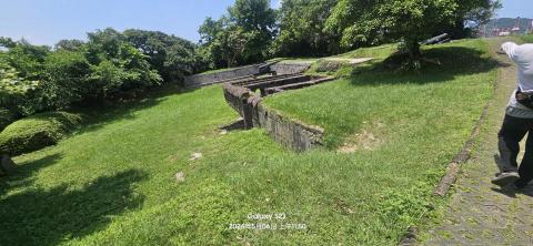 揚子園藝工程行 -  揚子園藝工程行 -