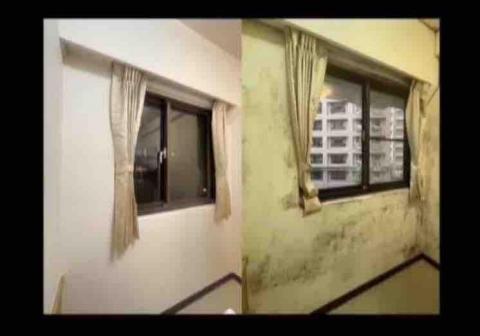 緯盛油漆（林先生） - 地點：三峽。三房
全室受潮發黑黴、變黃
