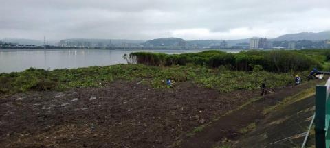于森園藝企業社 （林先生） - 紅樹林施工後