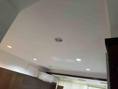 林廷廷 - 木作天花板