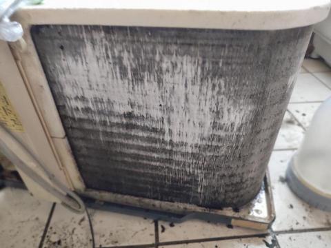 🛑🛑🛑因時間因素！目前暫停營業中,感謝顧客的熱愛與支持！🛑🛑 - 黴菌噴上藥水起強烈清潔效果