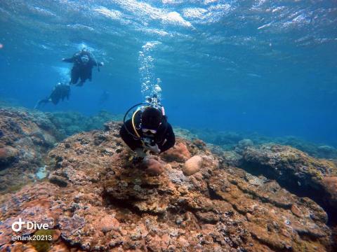 魟魚游泳教室 - 